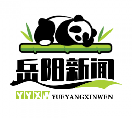 “重大项目首席服务官制度全面覆盖：十亿级项目服务升级新篇章”